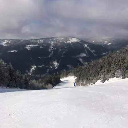 Chalet Dolni Morava Nyaraló