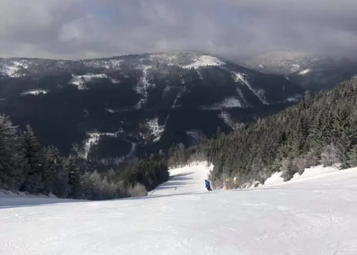 Chalet Dolni Morava Nyaraló